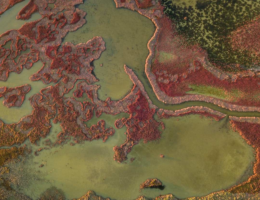 Interfaz conversacional con mapas en español